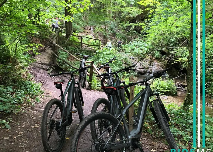 Magnolia House By The River Bb