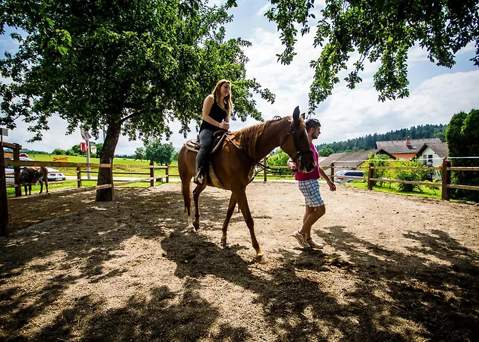 別荘 Magnolia House By The River Bb *